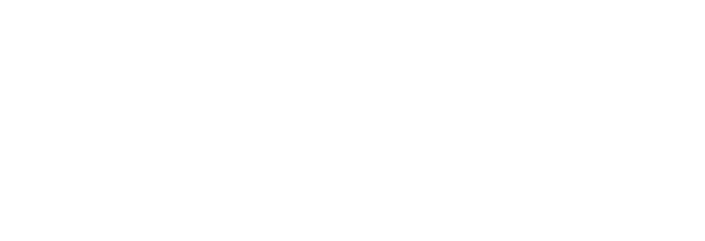 Srivijaya Ship and Port Agent